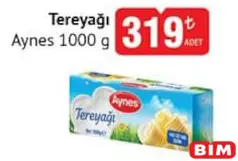 AYNES TEREYAĞI 1 KG fiyat ve kampanya bilgisi